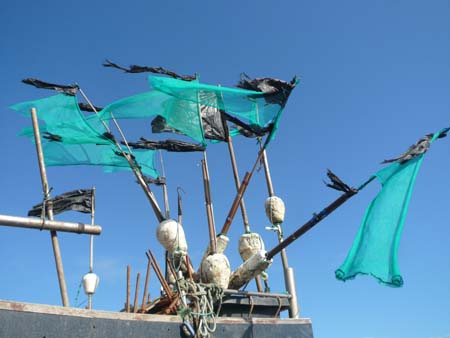 2010 Fishing flags